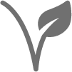 Vegan